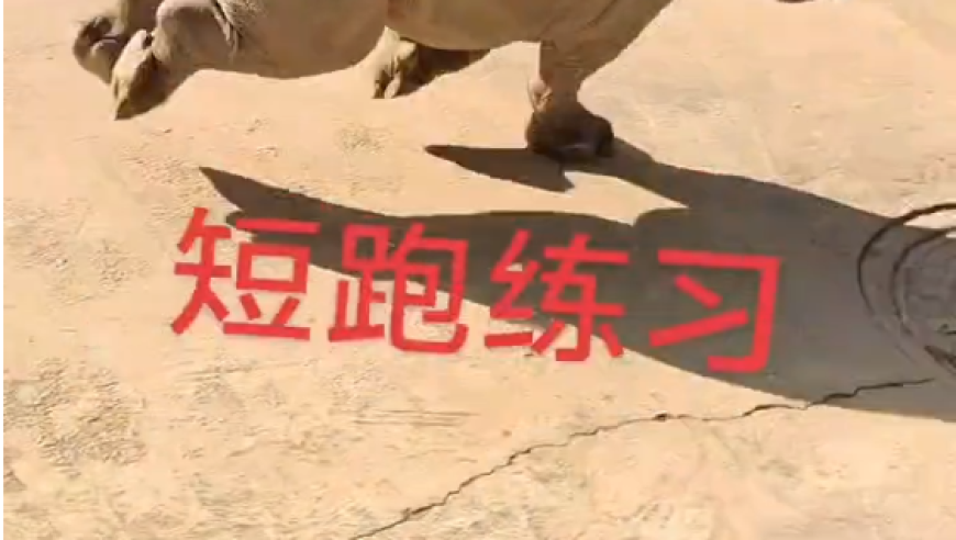 澳门正版管家婆K一句真言,第一批返岗的打工人已经辞职了,机构预测与落实方法揭秘_极速版V9.52