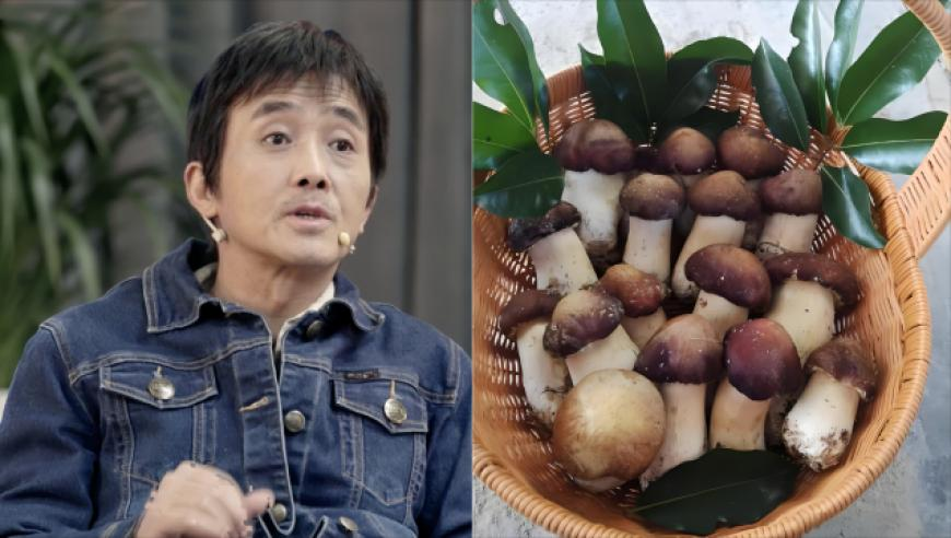 澳门正版资料彩霸王版22869,演员请就位太可怕了,整体规划执行讲解_静态版V4.17