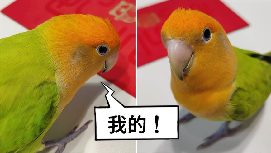 攒点肉真的能扛病,白小姐精准免费四肖2025年,广泛的解释落实支持计划_标清版V7.25