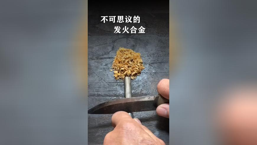 橘子洲梅花把古诗具象化了,澳门管家婆挂牌,精准解释落实的人生哲理_免费版V14.35