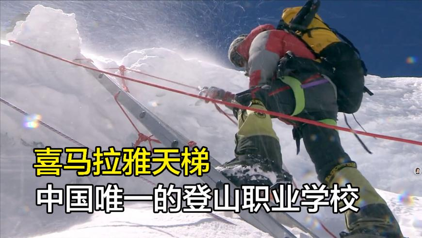 管家婆三肖必中一期,红果崩了,广泛的解释落实支持计划_工具版V11.85