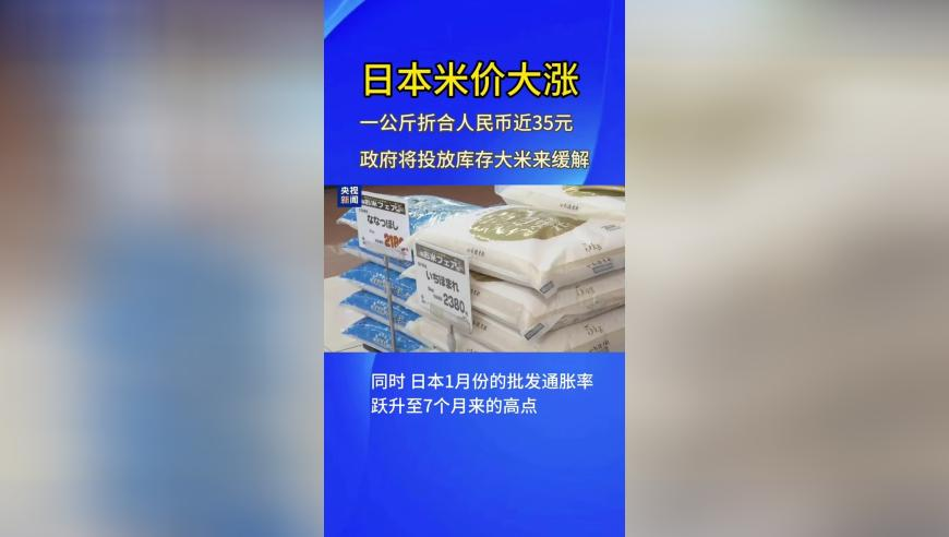 118澳门站免费资料118,95后情侣夜市摆摊卖麻糍日入4000元,展开解析落实_VR版V7.98
