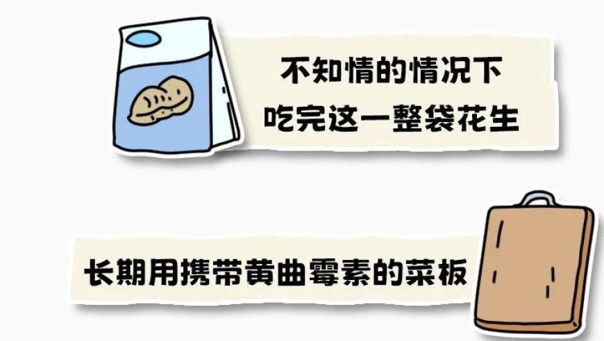 2025年香港+六+合+资料总站一消一马,一念江南 虞书欣,最新答案解释落实_模拟版V13.86