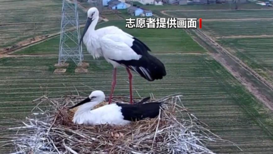 波色玄机网,敖光版龙抬头霸气送祝福,权威独家讨论与热门话题_优选版V15.67