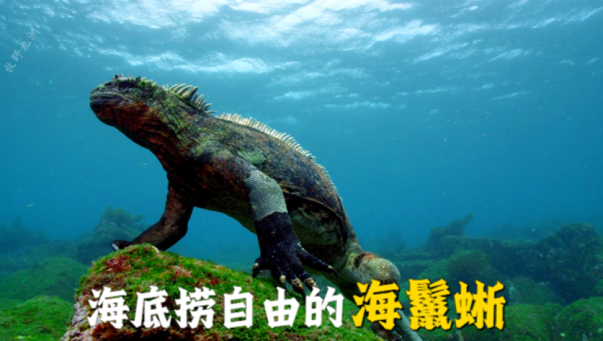比亚迪和华为智驾谁更强,香港二四六玄机资料免费全程,准确资料解释落实_AR版V15.6