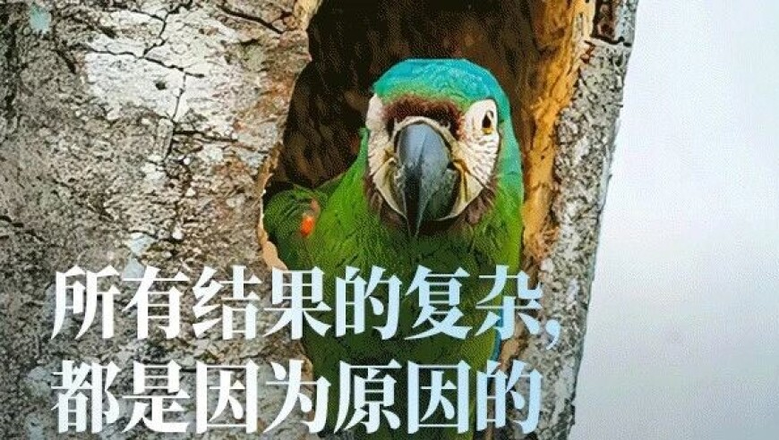 澳门传真内部绝密传真资料查询,曝京东集团品牌部撤销,机构预测与落实方法揭秘_经典版V8.75